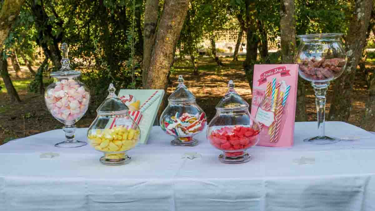 mariage ecuries gatinais 77