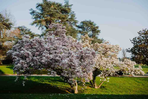 Mariage au Chateau de Ferrières